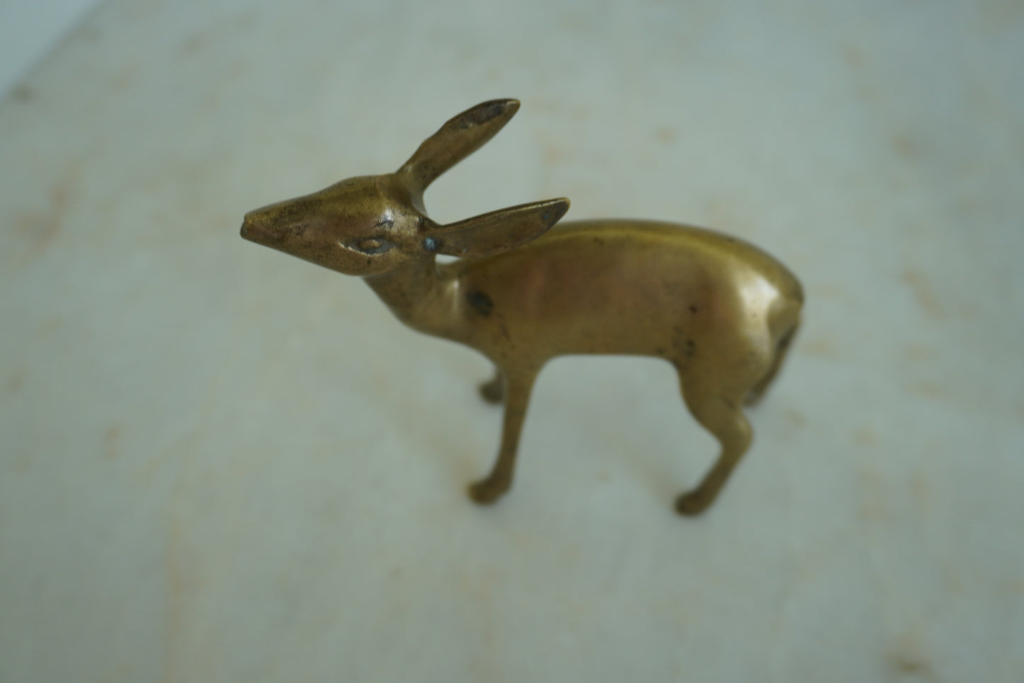 Deer brass